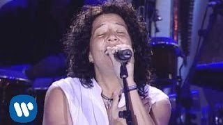 El talismán. Rosana